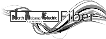 NAE-logo