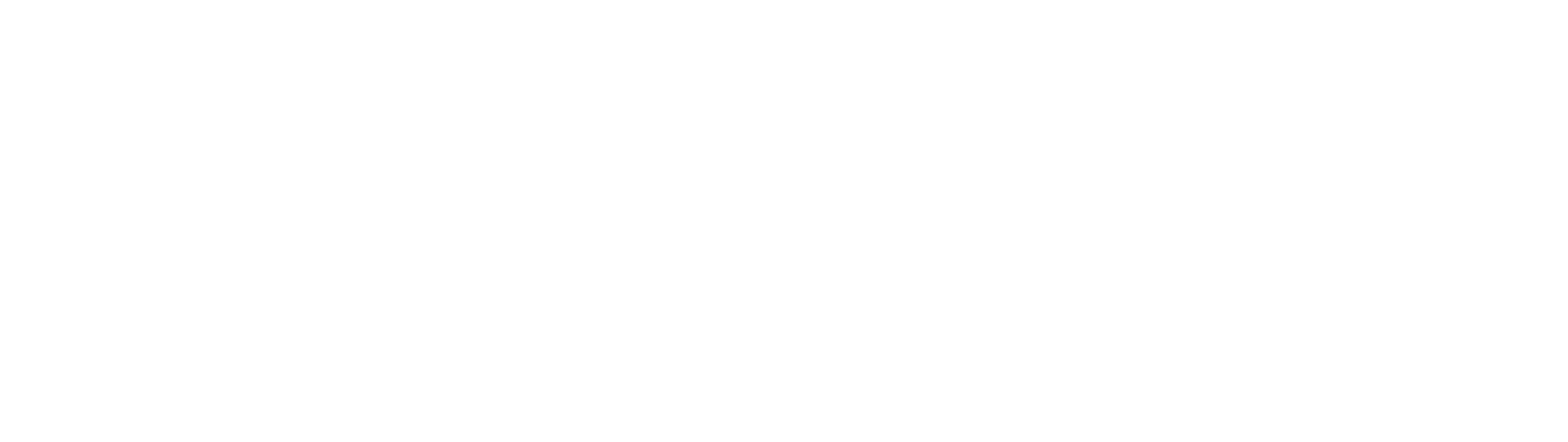 eeroPrimary logo white