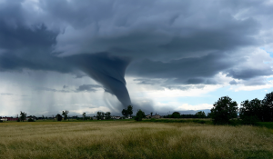 How to Plan for Seasonal Surges in Field Service Operations image